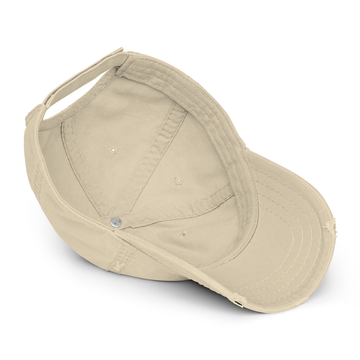 Distressed Dad Hat